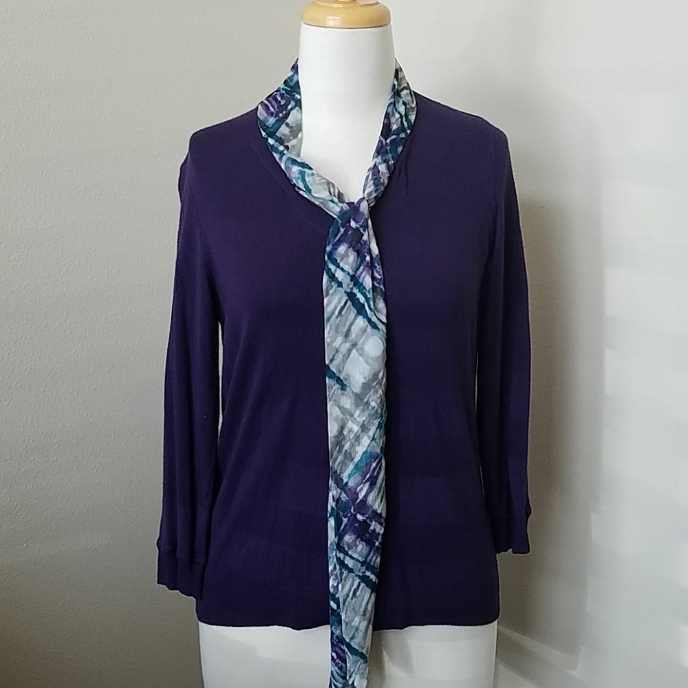 Purple V-Neck Sweater